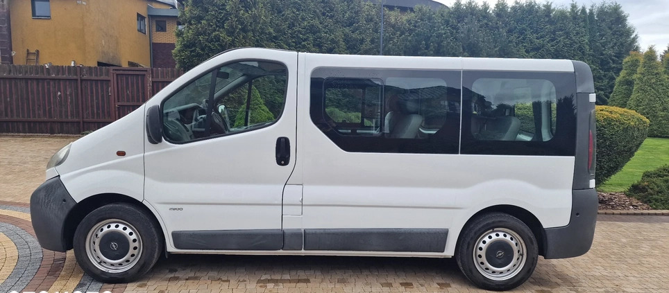 Opel Vivaro cena 27900 przebieg: 250000, rok produkcji 2005 z Świecie małe 154